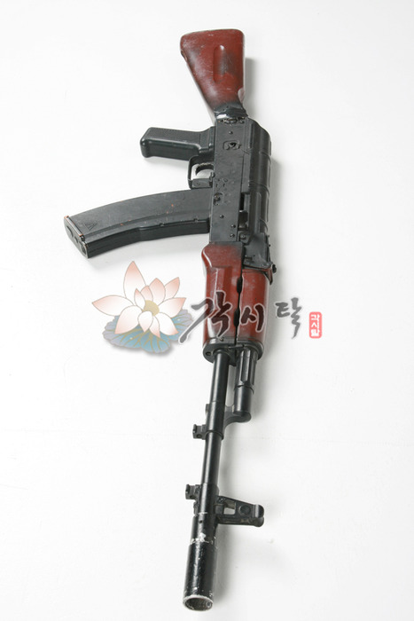 10207-소총18