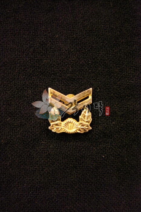 20076-육군 모장 (중사)
