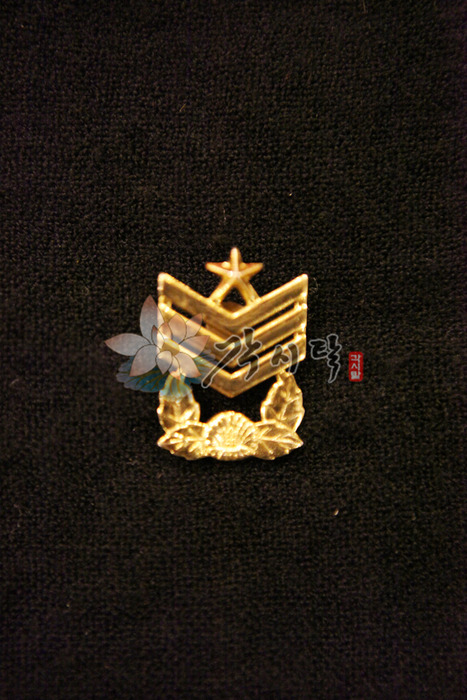 20077-육군 모장 (원사)